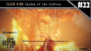 この先魔王があるぞ　[ELDEN RING DLC#11]