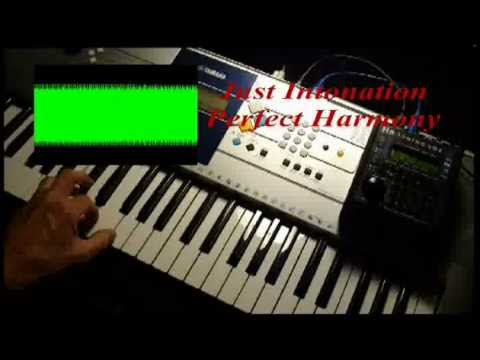 Middle Eastern Music has Perfect Harmony: Can You Feel the Difference?