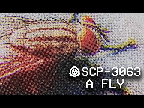 SCP-3063 - A fly ⚠️ : Object Class: Keter : Telepathic SCP