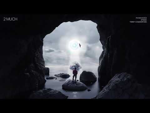 Poorchoice, STRAVE & Timmy Commerford - 2 Much (Teddy Cream Remix)