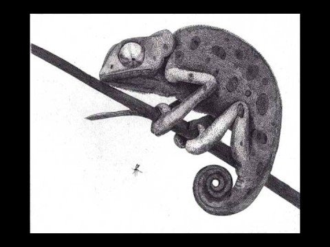 Ruffkidd - Formwandlah