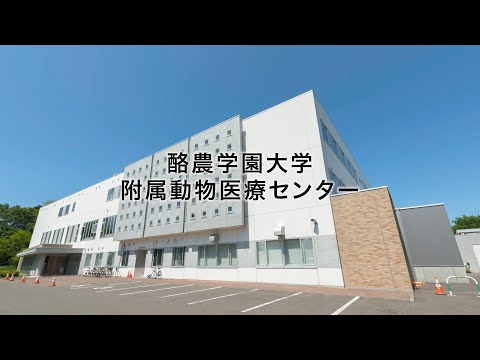 先端経営学科 酪農学園大学　施設紹介　｜　酪農学園大学附属動物医療センター