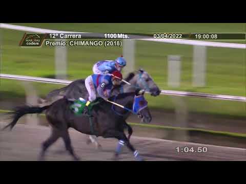 220403 c12 PRINCE LEOPARD