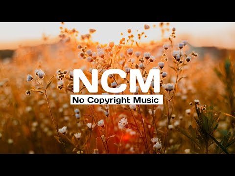 Eclipse - Dave Erpson and TFLM (NCM No Copyright Music)