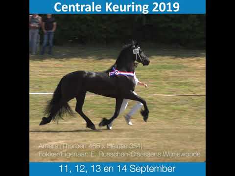 Promo Centrale Keuring 2019 1