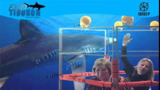 DIA 2 Expo Tiburon235