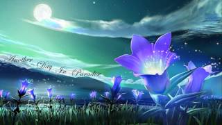 DNS III - Another Day In Paradise ·2001·