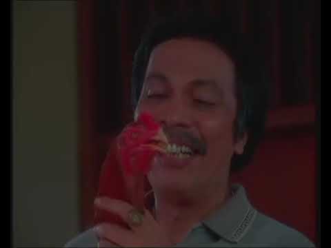 FTV HIdayah Suka Menyabung Ayam Meninggal Mengeluarkan Jengger