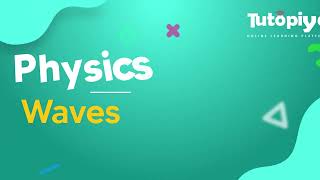 Transverse and longitudinal waves.