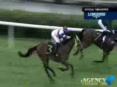 SINGAPORE RACE 27/10/2013 RACE 8 - iAgencyNet.com