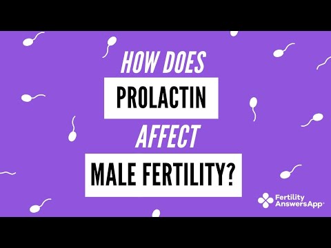 Prolactin and Male Infertility