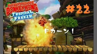 【ドンキーコングＴＦ】3－6「タルたいほうキャニオン」