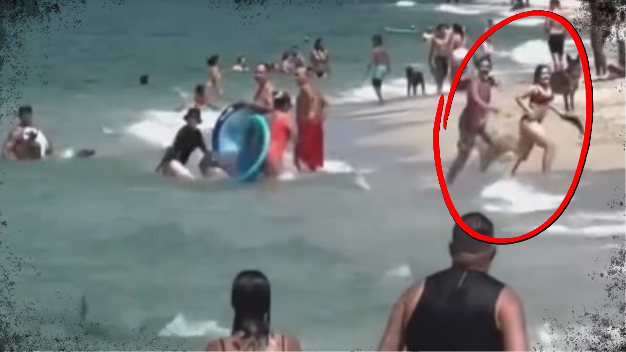 Você Achava Impossível, Mas Vai Passar a Acreditar Depois desse Vídeo - Parte 2