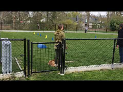 Nora 06-04-19 IMG 5226