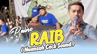Download lagu Raib  Bunga Desa // Paino Mc ( Nuansah Ceck Sound ) Penyu Music Version Cover mp3 Download lagu Raib  Bunga Desa // Paino Mc ( Nuansah Ceck Sound ) Penyu Music Version Cover mp3