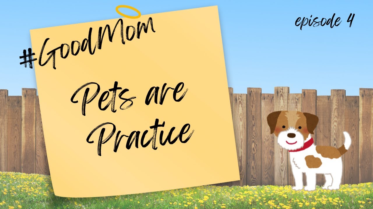 Poodles, Doodles & Practice Parenting: Lessons from Our Fur Babies