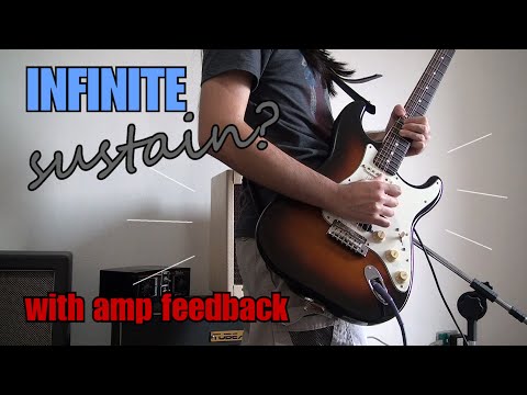 How To Get Infinite Sustain With Controlled Amp Feedback | Guitar Tutorial | Quick Tips