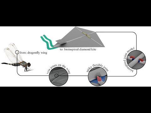 Video 9 thumbnail