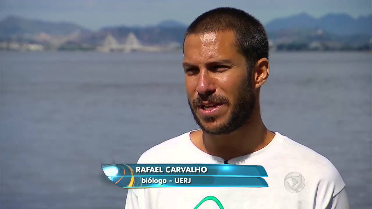 Surfista fica cara a cara com baleia rara