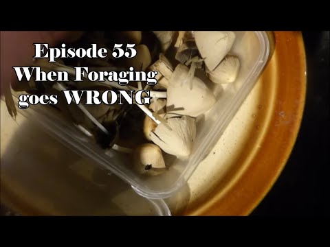 VoE Ep 55 Narrowboat Stove Cooking Goes Wrong