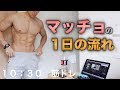 【減量中】とあるマッチョの1日の流れ