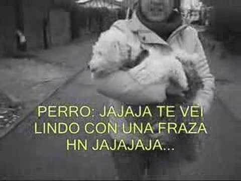 matias el perro lastimero