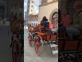 HORSE CART RIDE IN ITALY ITALIAN HORSE CART RIDE IN LUCCA TUSCANY TUSCANY TRAVELS ITALY