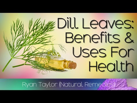 Dill: Benefits and Uses