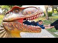 Shfa And Dinosaur Museum
