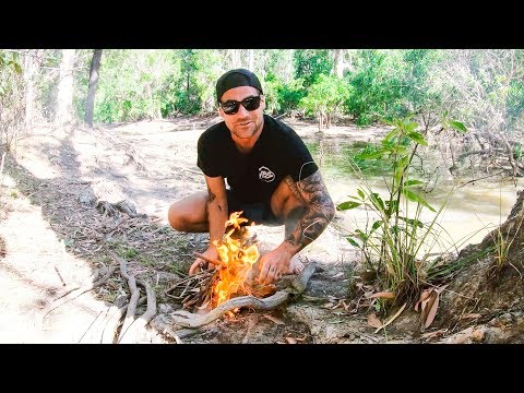RUNNING WILD IN REMOTE AUSTRALIA EATING WHAT WE CATCH Snakes Crocs Barramundi (SNAKE BITE) - Ep 127