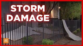 Overnight monsoon storm brings damage to Mesa
