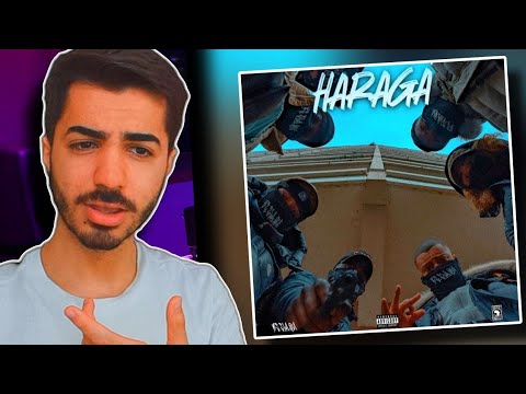 SCHNELL, SCHNELLER 🔥 HOODBLAQ -  VIVA LA HAZE,  YOUNG G, CALLE - HARAGA ALBUM Reaction