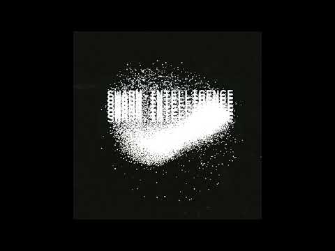 Swarm Intelligence - Edge of Chaos [SWRM001]