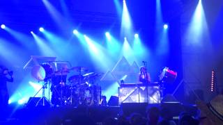 Solidays 28 juin 2014: Cats on trees - You win