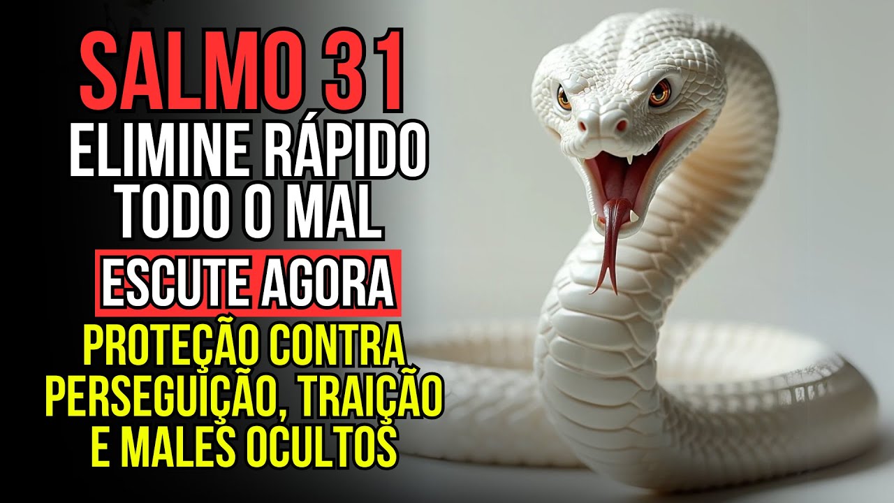 Salmo 31: A Proteção Contra Perseguição, Traição e Males Ocultos