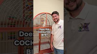 Does This Major Mitchell's Cockatoo Bite?