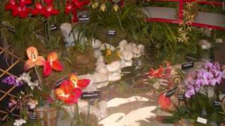 RHS Flower Show 2009 - Love Bond by Michael Tao, Kenix Kwok, Moses Chan &amp; Bernice Liu (Chinese)