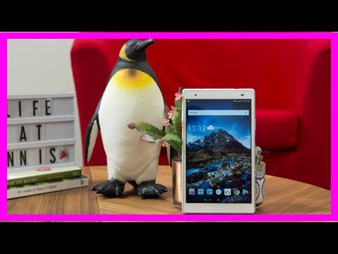 Lenovo tab 4 8 plus review: a budget tablet with dolby atmos by BuzzFresh News