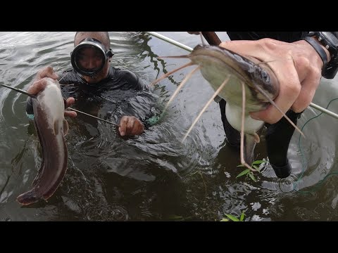 SE02EP072 Part 2 - YARE! MALA AFRICAN sa LAKI ang HITO Dine! Catch & Cook | San Pablo City, Laguna