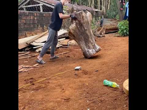 Cậu bé Việt nổi tiếng thế giới nhờ khúc gỗ và chữa bệnh được cho mẹ