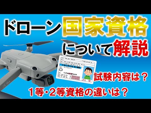 ドリコデリナ科について詳しく解説