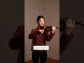 Perfect Ed Sheeran Violin Cover