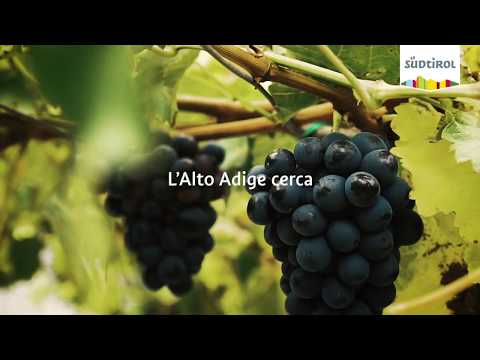 Strada del Vino in Alto Adige