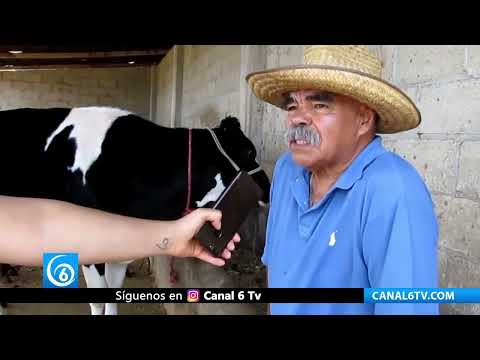 Campaña sanitaria de ganado, gratuitas en comunidades de Tenancingo