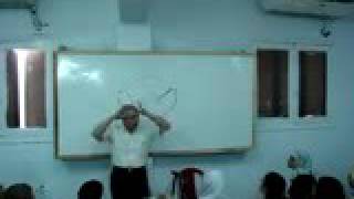 H&N14 folds of dura matter