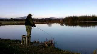 preview picture of video 'Fly Fishing for Rainbow Trout at Loch Mahon Lakes'