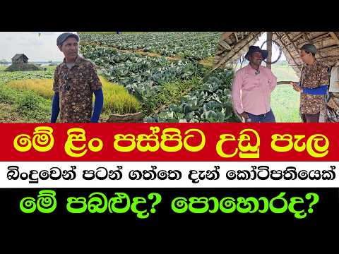 Started with Nothing, Now a Millionaire