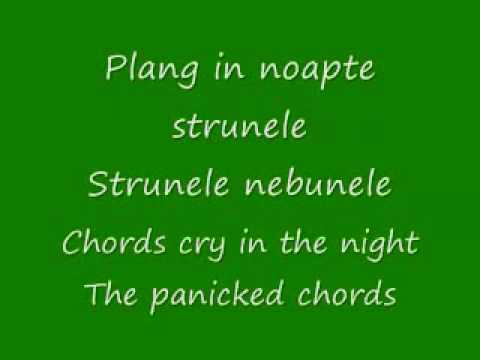 De Ce Plang Chitarele with actual English translation.mp4