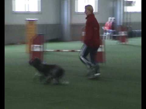 Babs jumping 09-11-2008