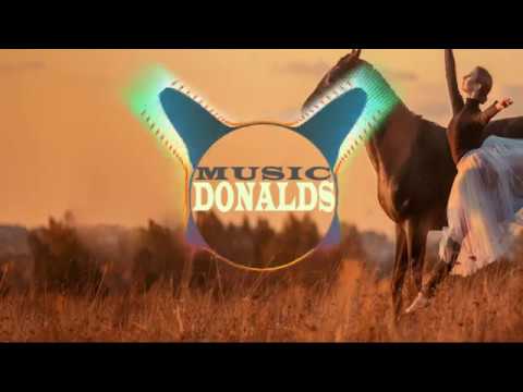 Camila Cabello vs. Oliver Heldens & Riton - Senorita vs. Turn Me On (WeDamnz Mashup)